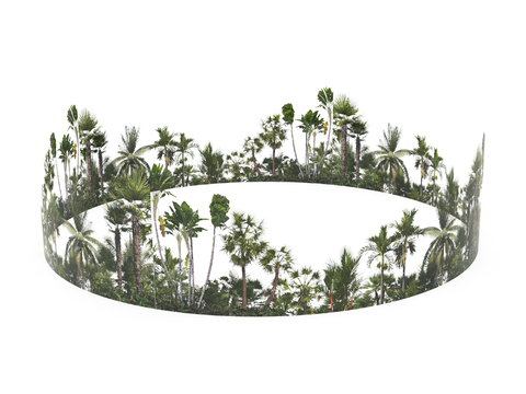 Plant Background Annular Tree Landscape