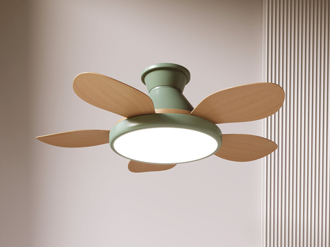 Nordic ceiling fan light fan light