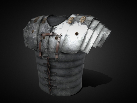 Roman Lorica Section Armor