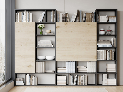 Modern Bookcase Showcase