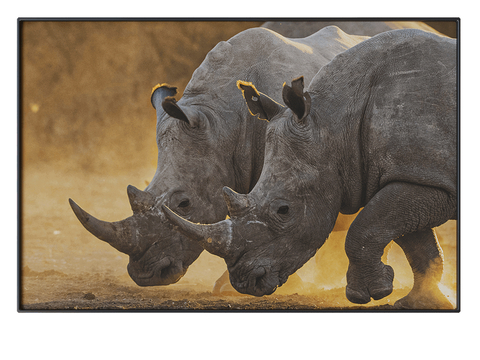 NC Design Hanging Painting Decorative Painting Rhino Hanging Painting