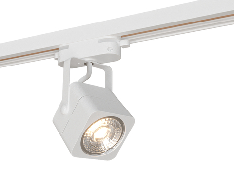 DENKIRS Downlight Track Light