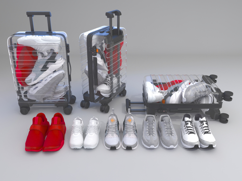 Modern Suitcase Shoes sneaker