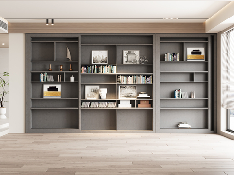 Modern Bookcase Showcase