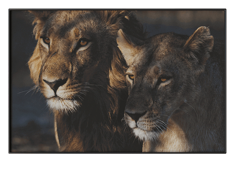 NC Design Hanging Painting Decorative Painting Lion Animal Hanging Painting