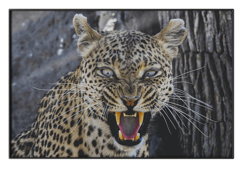 NC Design Hanging Painting Decorative Painting Leopard Hanging Painting