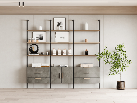 Modern Bookcase Showcase