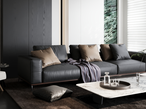 Modern Couch leather sofa