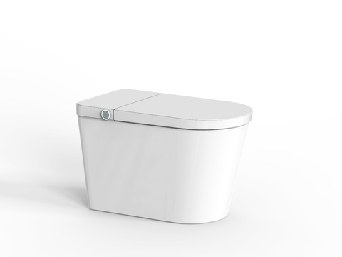 Smart Toilet Toilet