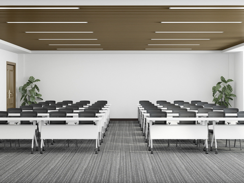 Modern Conference Room Training Room