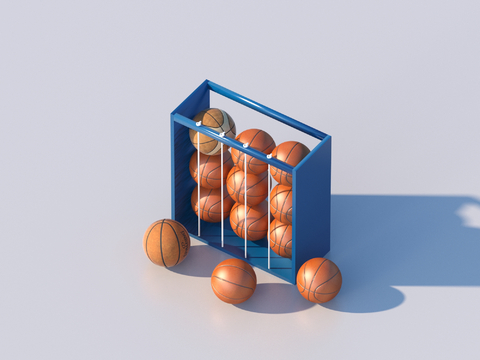 Basketball Storage Rack