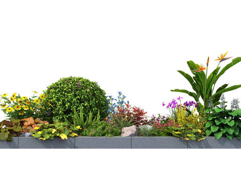 Flower Mirror Plant Plant Pile Outdoor Flower Groove