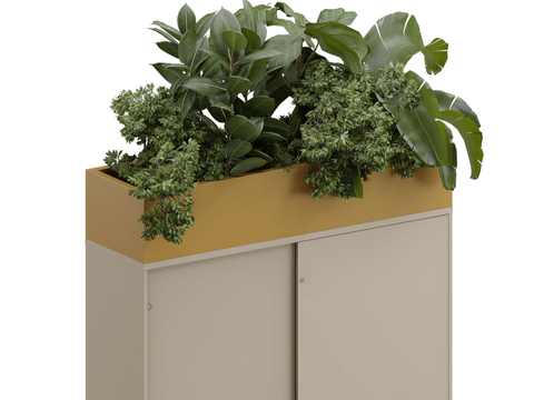 Plant Flower Box Flower Groove Flower Bowl Green Plant