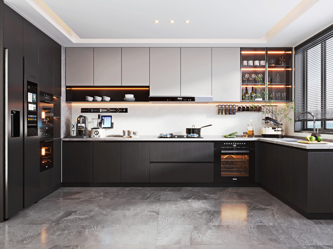 Modern Kitchen Cabinets