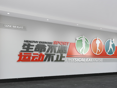 modern sports culture wall basketball culture wall