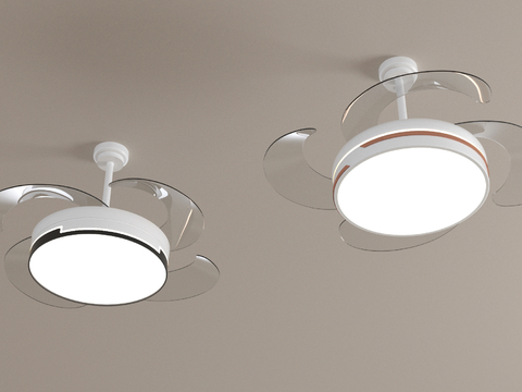 Modern fan light ceiling fan light