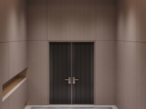 Modern entrance door