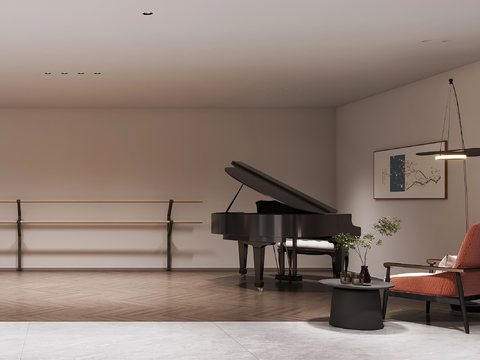 Modern Piano Room