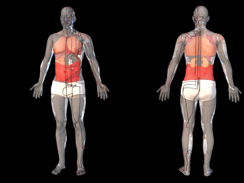 Medical Human Acupoints Human Organs Medical Textbooks