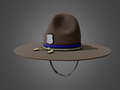 Police Hat