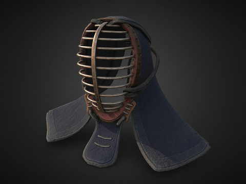 Men's Kendo Helmet