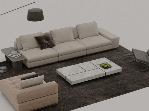 Modern sofa combination