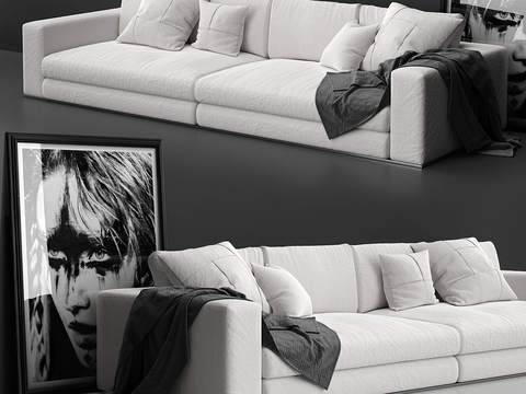 Minotti Italian sofa