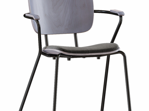 Modern Chair dining chair