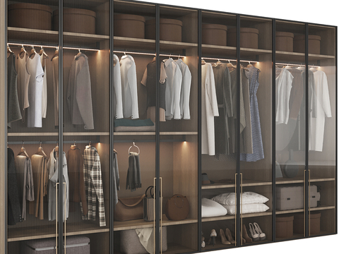 Modern Wardrobe Closet