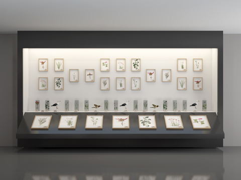 Modern specimen display specimen wall specimen cabinet