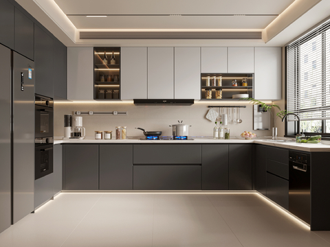 Modern Kitchen Cabinets