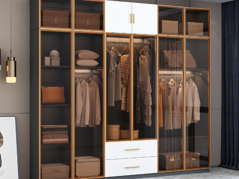 Affordable Luxury Style Glass Wardrobe