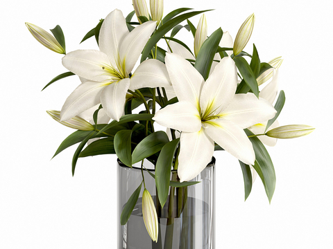 lily flower vase flower arrangement