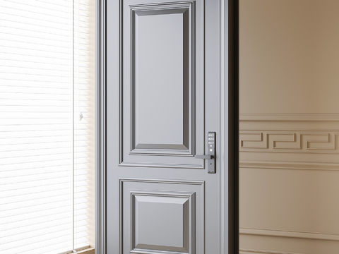 Modern security door entry door