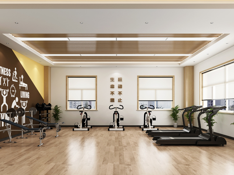 modern gym d model