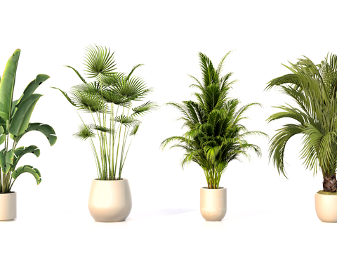 Modern Green Plant Potted Plant