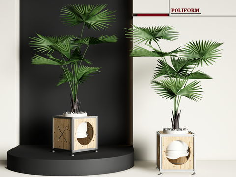 modern potted plant