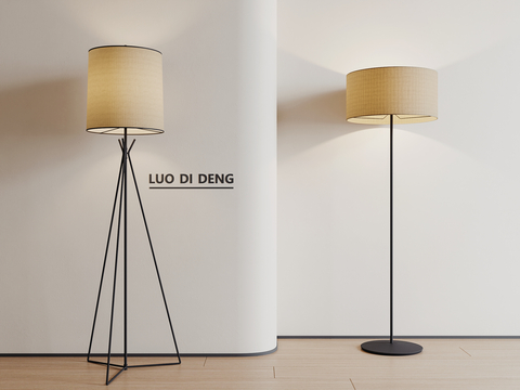 Modern floor lamp