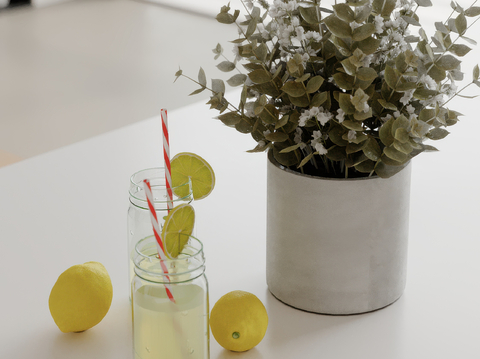 Modern Table Ornaments Kitchen Ornaments Green Plant Lemon Tea