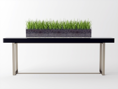 Green Plant Potted Cat Grass Flower Trough