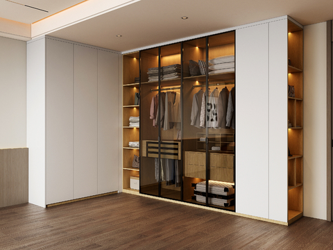 Modern Glass Wardrobe Wardrobe