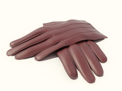 modern ladies gloves leather gloves