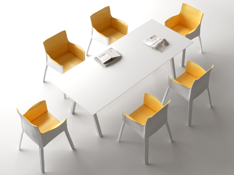 Modern Conference Table