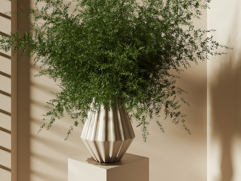 Modern Green Plant Potted Plant