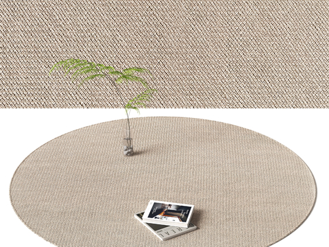 Modern Round Carpet