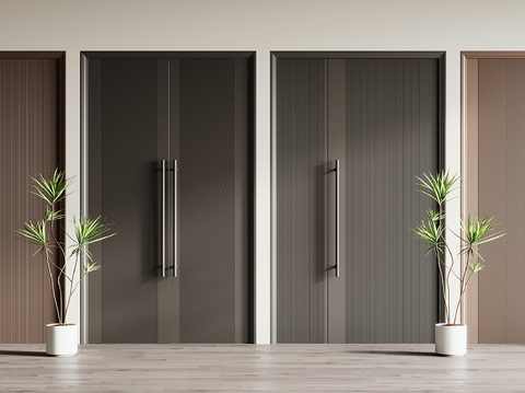 Modern double door entrance door opposite door