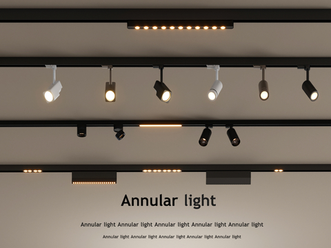 Downlight Track Light