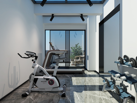 Modern home fitness area