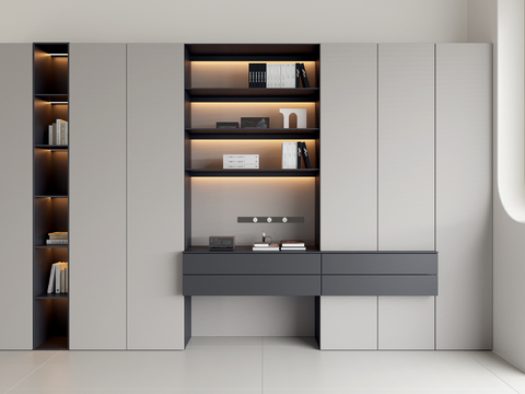 Modern Bookcase Showcase