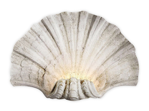 scallop shell wall lamp